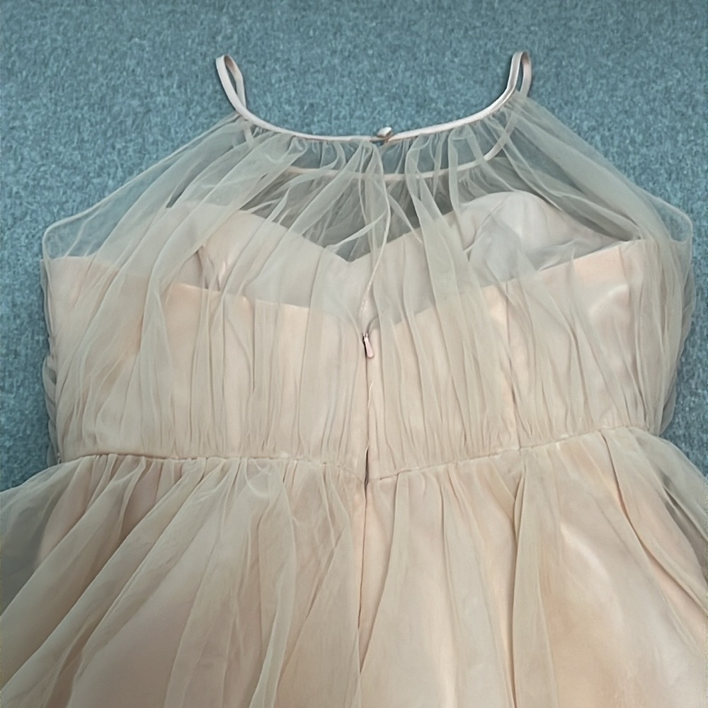 Sleeveless Tulle Overlay Cocktail Dress in Blush - Picture 7 of 9